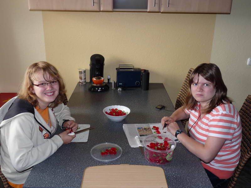 2009-06-21 SoSchuFest 002.JPG